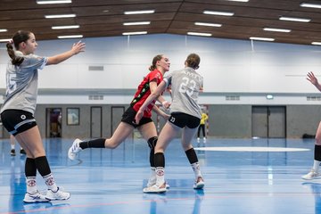 Bild 182 - wCJ TSV Ellerbek - AMTV Hamburg 2 : Ergebnis: 25:20